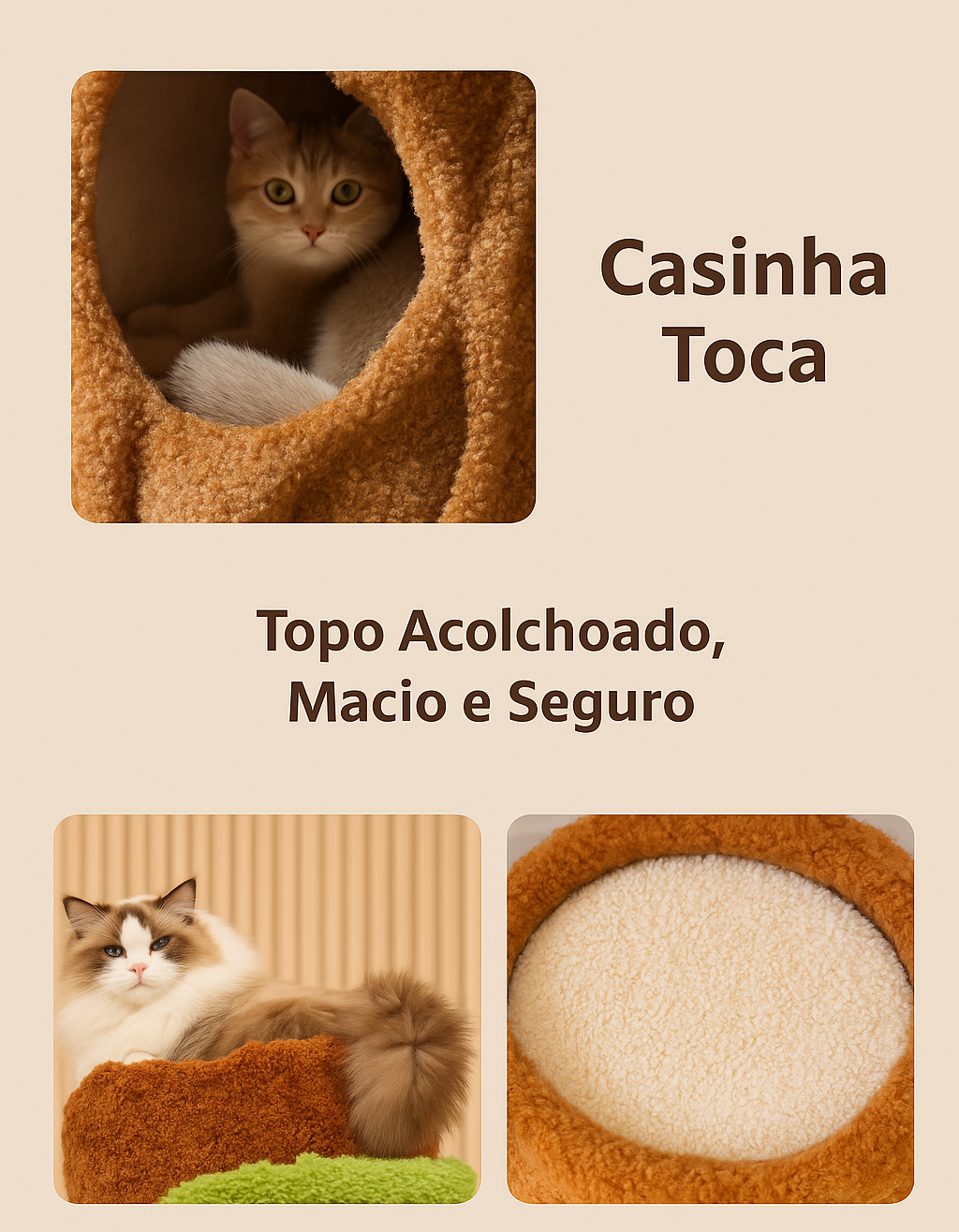 Imagem adicional 3